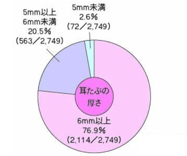 日本人の耳たぶは、成人の8割近く（76.9％）が6mm以上の厚さがある