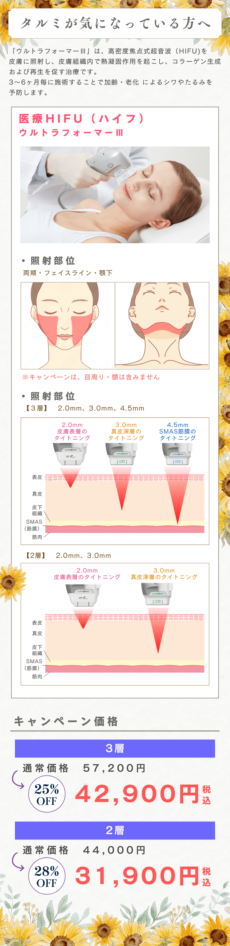 8月・9月キャンペーン プラン内容2