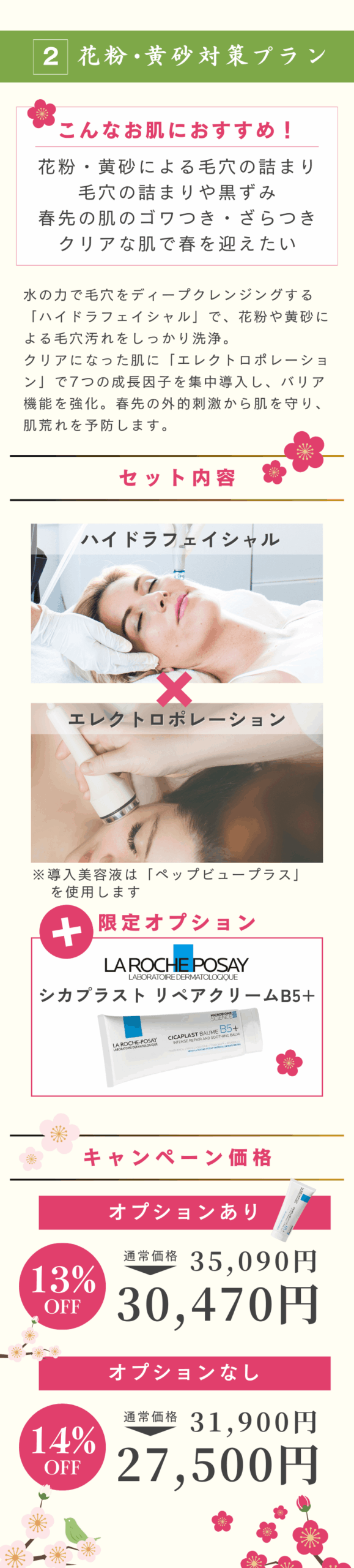 新春キャンペーン　花粉・黄砂対策プラン