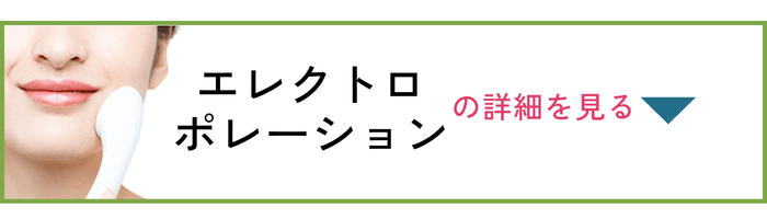 PLAN1 エレクトロポレーション
