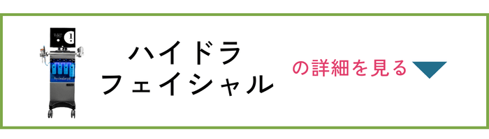 PLAN2 ハイドラフェイシャル