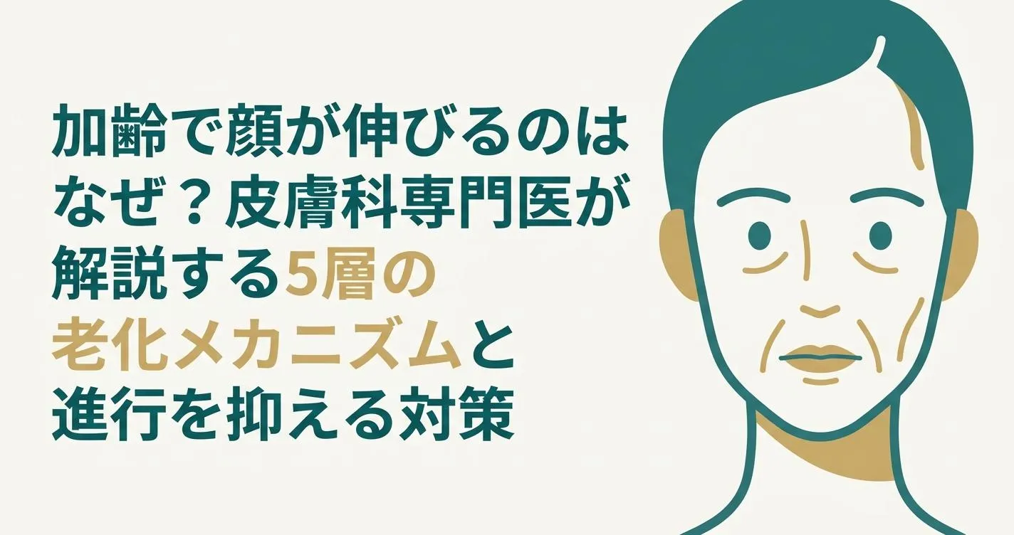 加齢で顔が伸びるのはなぜ？皮膚科専門医が解説する5層の老化メカニズムと進行を抑える対策